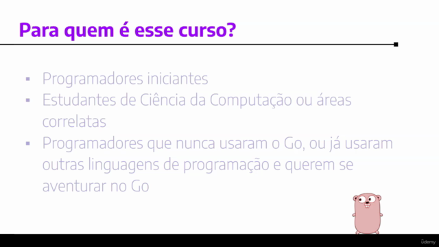 Aprenda Go (Golang) sem Enrolação – Screenshot 2