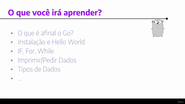 Aprenda Go (Golang) sem Enrolação – Screenshot 3