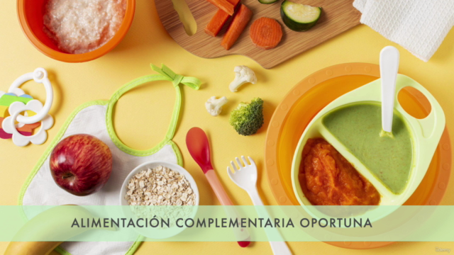 Alimentación Complementaria Oportuna (menores a 2 años) – Screenshot 2