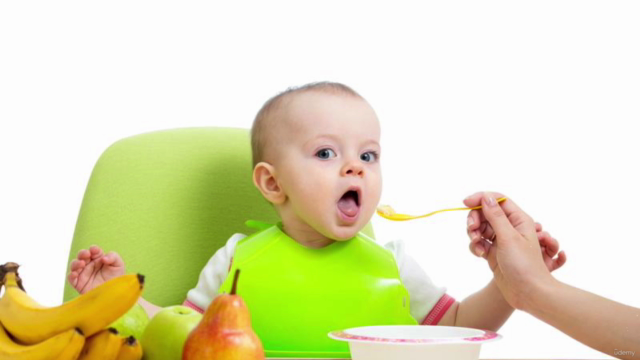 Alimentación Complementaria Oportuna (menores a 2 años) – Screenshot 4