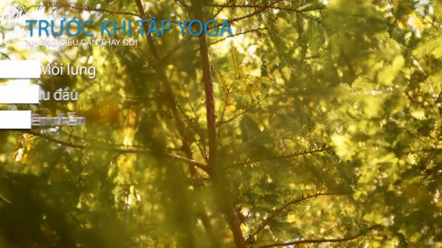 Yoga cho người mới bắt đầu – Screenshot 1