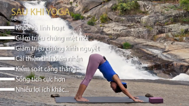 Yoga cho người mới bắt đầu – Screenshot 2