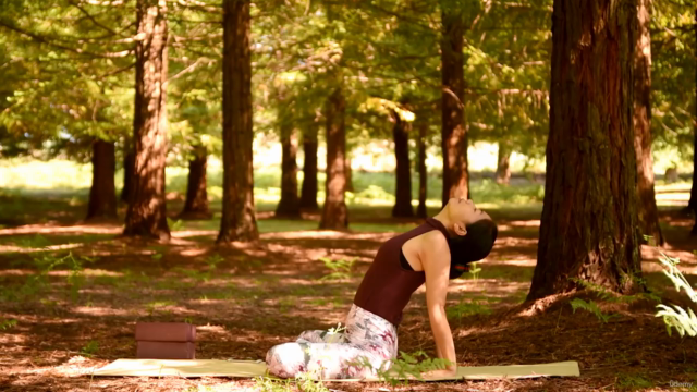 Yoga cho người mới bắt đầu – Screenshot 4