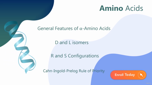 Mastering Amino Acids: Building Proteins for Biochemistry – Screenshot 2