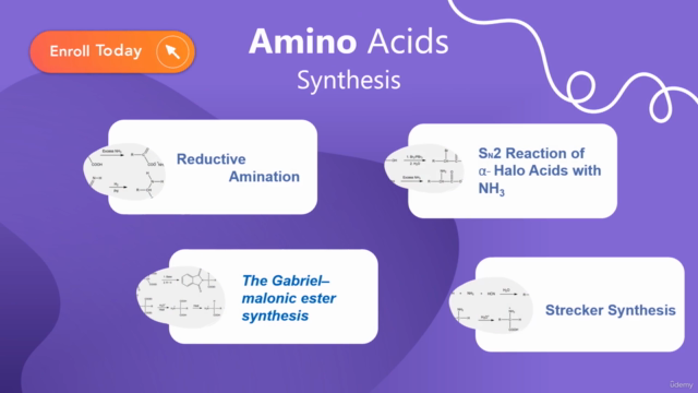 Mastering Amino Acids: Building Proteins for Biochemistry – Screenshot 3