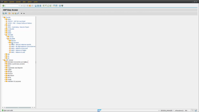 SAP MM Malzeme Yönetimi Eğitimi – Screenshot 3