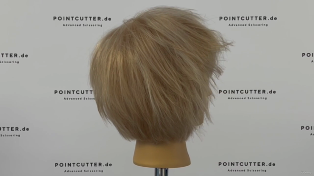 BIXIE HAIRCUTS - Become a Haircutter Unit 11 - 12 – Screenshot 2