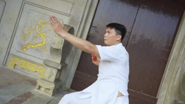 TaiChi Fan For Flexibility, Mobility and Stress – Screenshot 1