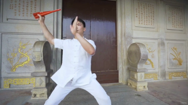 TaiChi Fan For Flexibility, Mobility and Stress – Screenshot 3