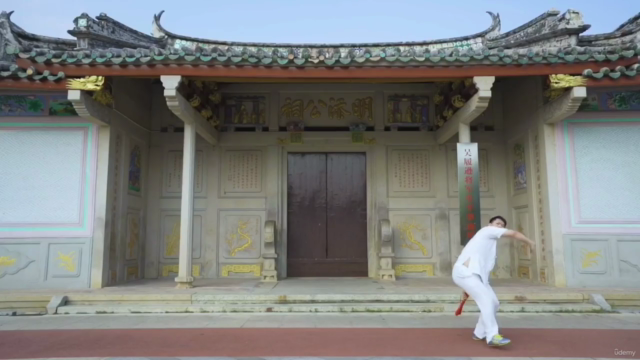 TaiChi Fan For Flexibility, Mobility and Stress – Screenshot 4