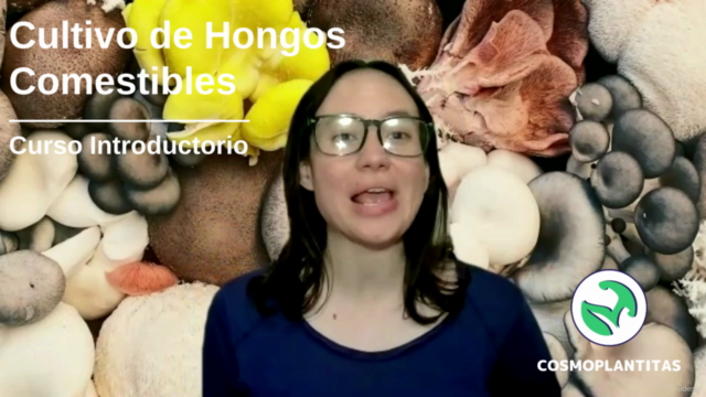 Cultivo de Hongos Comestibles – Screenshot 1