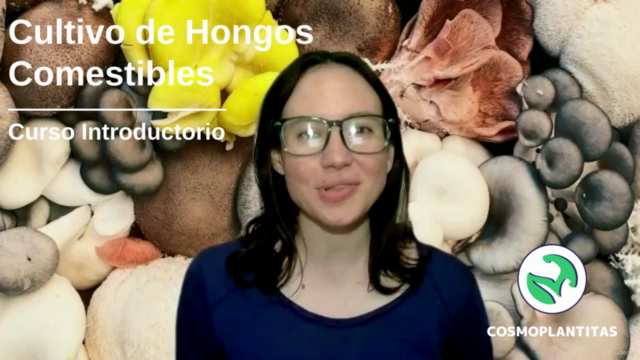 Cultivo de Hongos Comestibles – Screenshot 2