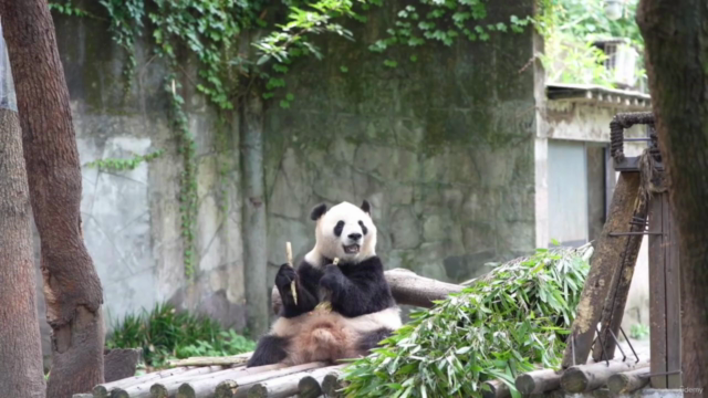 Learn Mandarin Chinese Through Interesting Stories -HSK1 – Screenshot 4