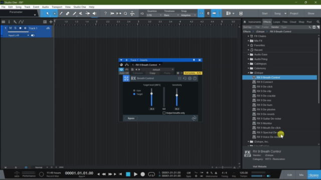 iZotope RX 9: From 0 to Hero – Screenshot 2