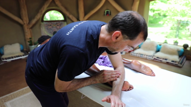 Lomi Lomi Massage - Complete Foundational CERTIFICATE Course – Screenshot 1