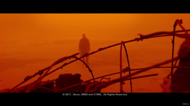 Master DaVinci Resolve 20: Pro Video Editing [updated 2025] – Screenshot 2