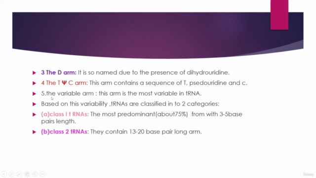 RNA STRUCTURE DETAILED CONCEPT – Screenshot 1