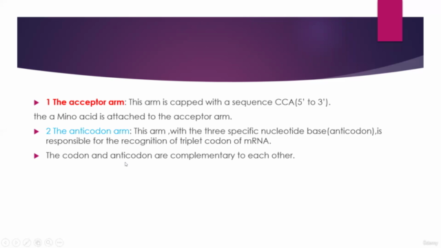 RNA STRUCTURE DETAILED CONCEPT – Screenshot 2