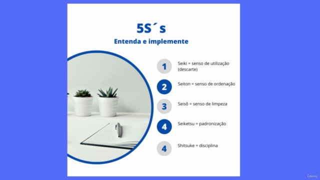 Kaizen 5S e A3 – Screenshot 2