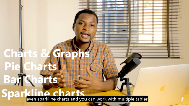 Microsoft excel from beginner to expert – Screenshot 1