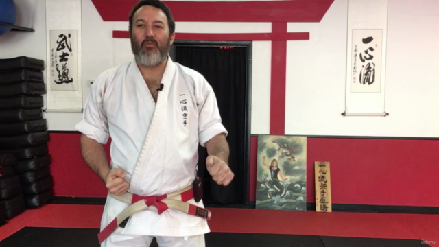 Dissect the Dissection of Isshinryu Karate: Wansu Bunkai – Screenshot 2
