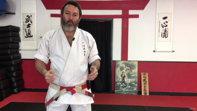 Dissect the Dissection of Isshinryu Karate: Wansu Bunkai – Screenshot 3