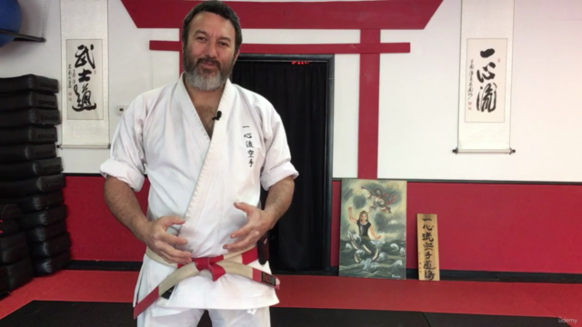 Dissect the Dissection of Isshinryu Karate: Wansu Bunkai – Screenshot 4