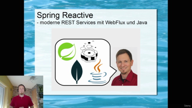 Spring Reactive: moderne REST Services mit WebFlux und Java – Screenshot 1