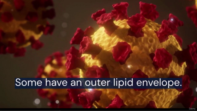 practical virology from scratch – Screenshot 2
