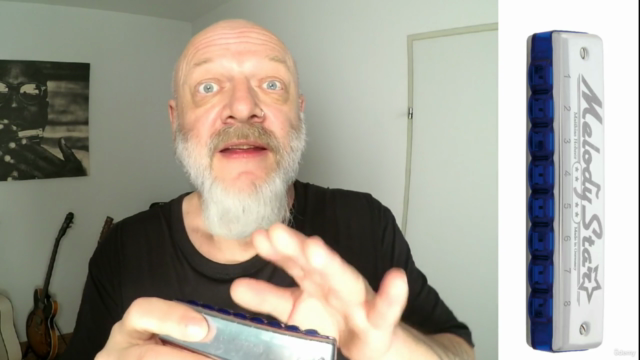 Melodiespiel auf der "Melody Star" Mundharmonika – Screenshot 4