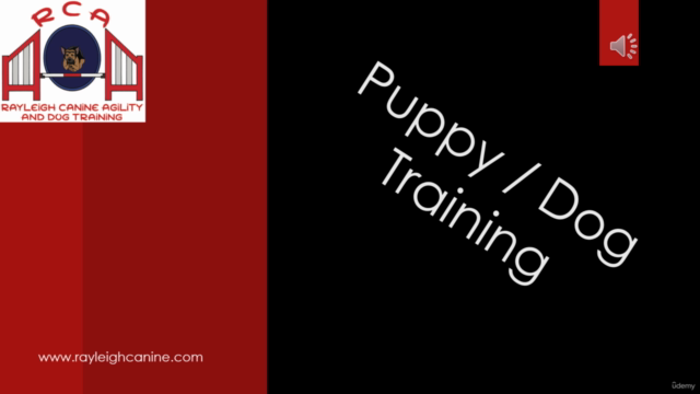 Dog Training for Newcomers – Screenshot 1