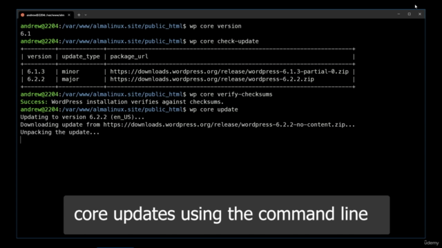 WordPress: Site Administration Using WP CLI – Screenshot 4
