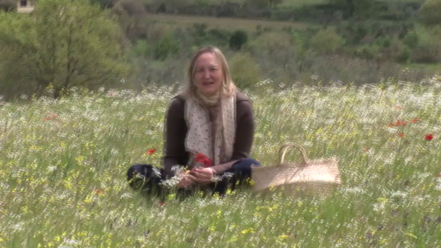 Le piante officinali in primavera/estate – Screenshot 3