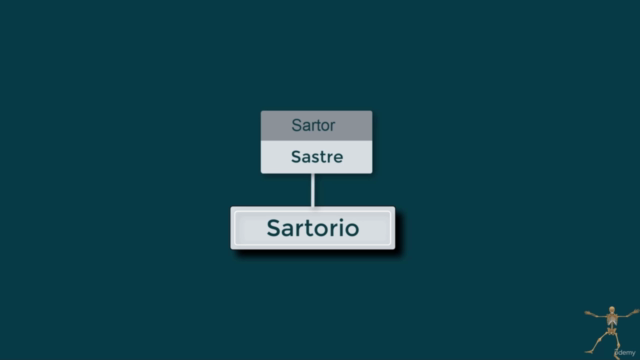 Anatomía Humana. Descripción y movimiento. Sistema locomotor – Screenshot 3