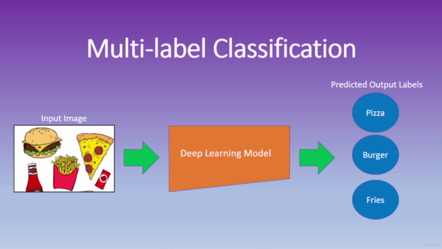 Deep Learning with Python & Pytorch for Image Classification – Screenshot 2