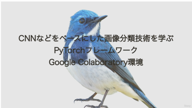AIによる画像分類を学ぼう!【PyTorch+Colab】-CNNの基礎からTransformerの応用まで- – Screenshot 1