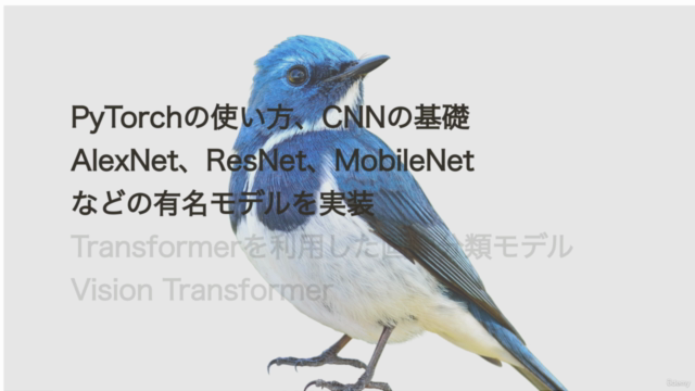 AIによる画像分類を学ぼう!【PyTorch+Colab】-CNNの基礎からTransformerの応用まで- – Screenshot 2