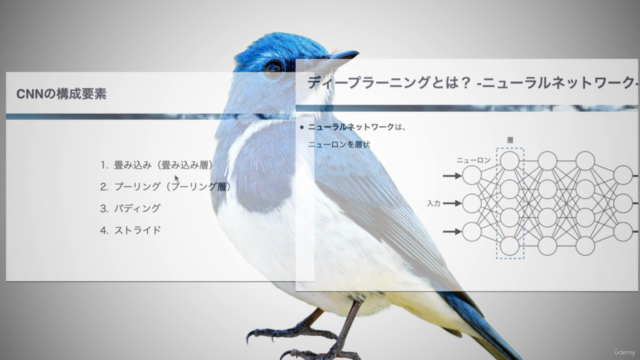 AIによる画像分類を学ぼう!【PyTorch+Colab】-CNNの基礎からTransformerの応用まで- – Screenshot 3
