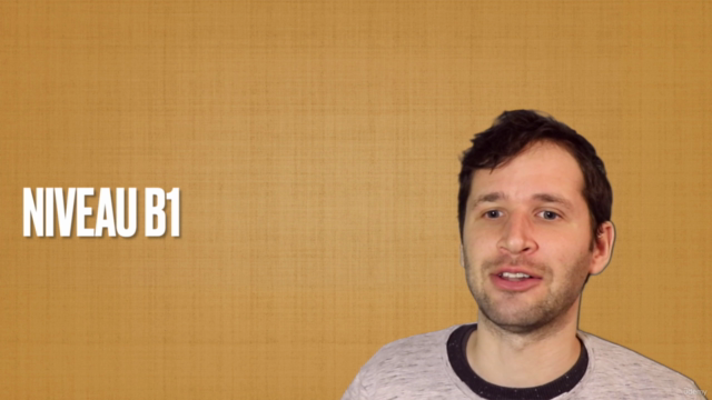 Curs de olandeză în olandeză 4: limba olandeză intermediară – Screenshot 3