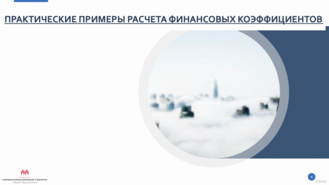 Financial Statement and Ratio Analysis (in Russian) – Screenshot 1