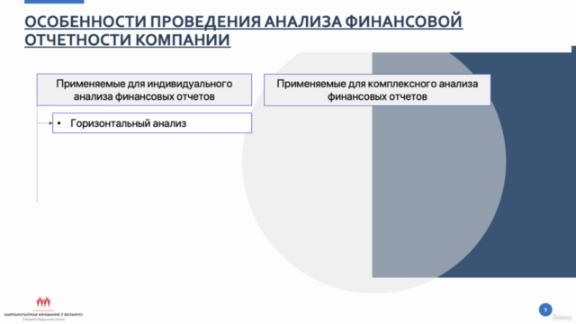 Financial Statement and Ratio Analysis (in Russian) – Screenshot 3
