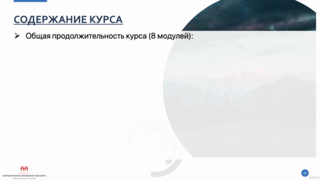 Financial Statement and Ratio Analysis (in Russian) – Screenshot 4