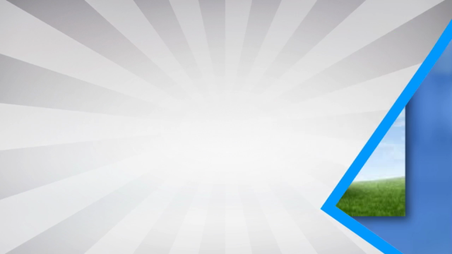 Solo Ads: Instant Solo Ad Opt-ins & Conversions – Screenshot 4