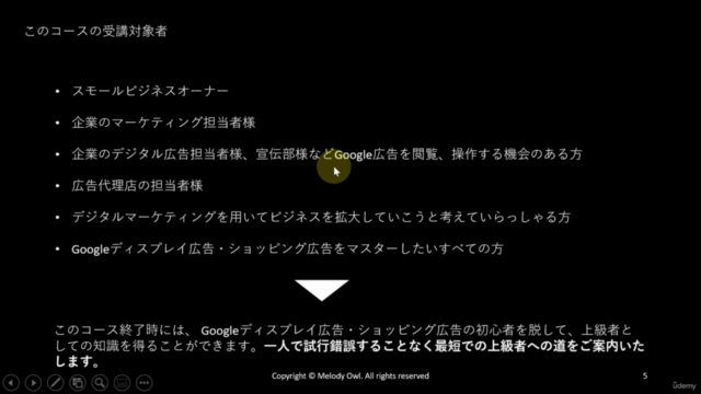 【Google Ads】GDNとショッピング広告/初心者からのGoogle広告(旧Adwords)2022年WEB広告 – Screenshot 2