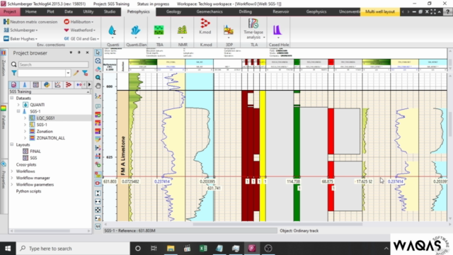 Petrophysical Analysis In Techlog – Screenshot 2
