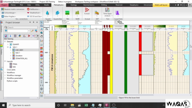 Petrophysical Analysis In Techlog – Screenshot 3
