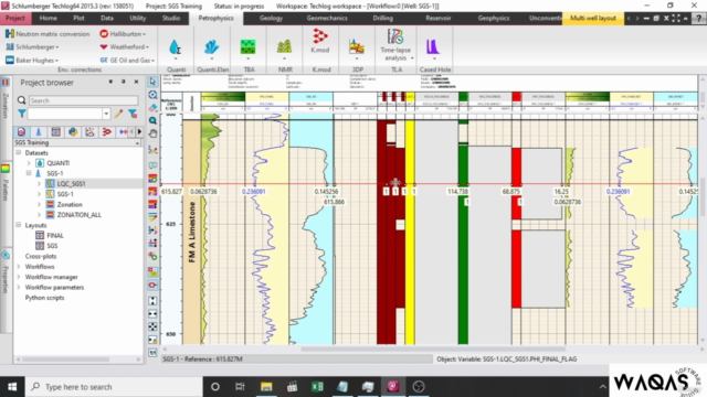 Petrophysical Analysis In Techlog – Screenshot 4