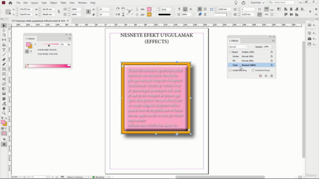 InDesign 2021 Eğitim Seti – Screenshot 2