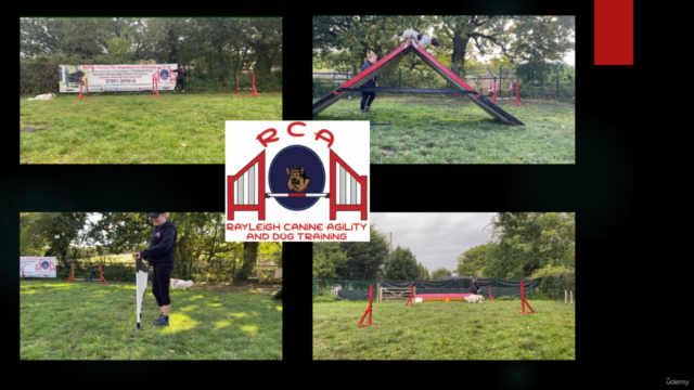 Dog Agility for Newcomers - The Next Jump – Screenshot 1