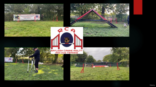 Dog Agility for Newcomers - The Next Jump – Screenshot 3